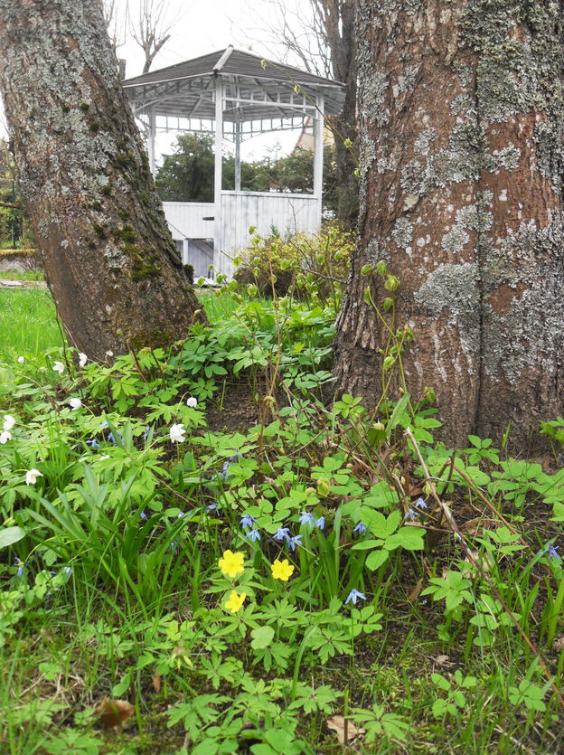 Ashampoo_Snap_2024.08.06_10h14m56s_003_